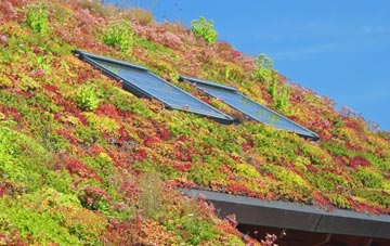 Seapatrick living roof systems