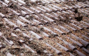 Seapatrick roof cleaning companies